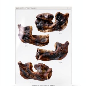 Prehistory eBook Glanville Kindle 80‑Page-0